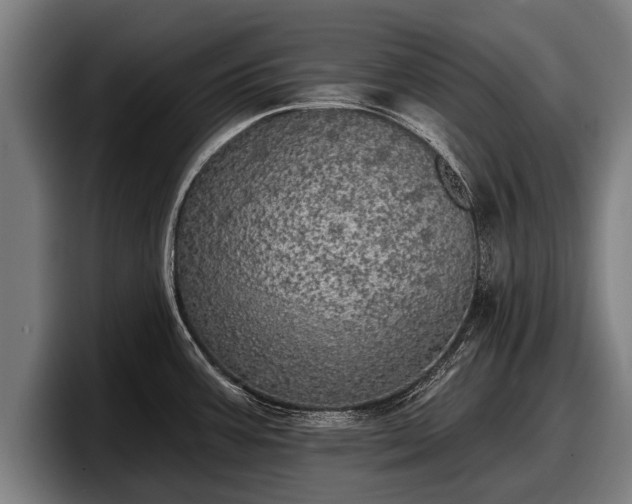 X0000097811387200803201409