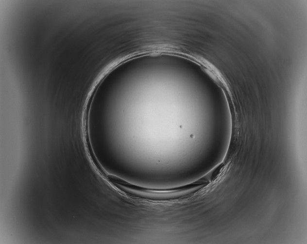 X0000097811389200803201409