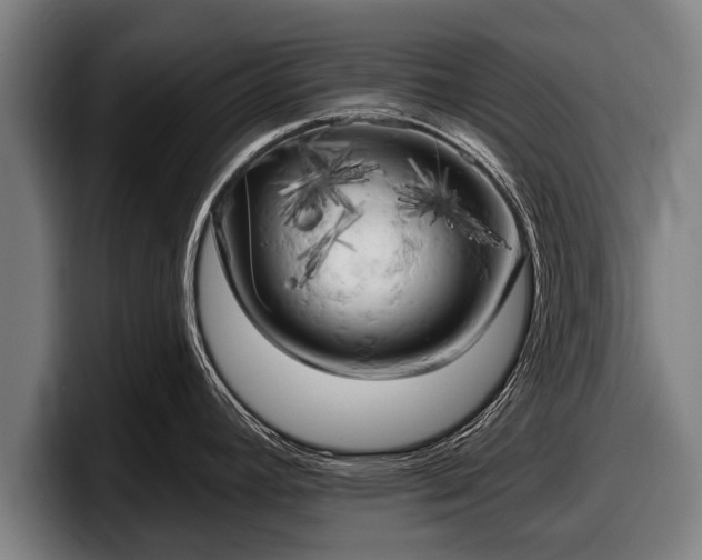 X0000097811392200803201409