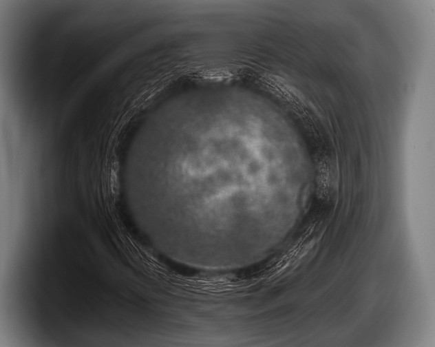 X0000097811394200803201408