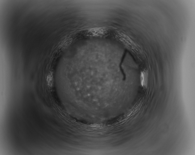X0000097811395200803201408