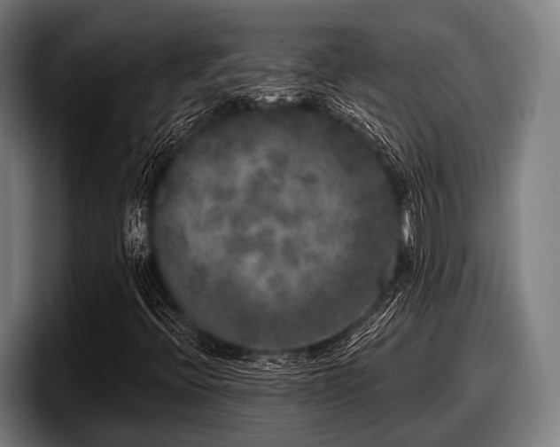 X0000097811396200803201408