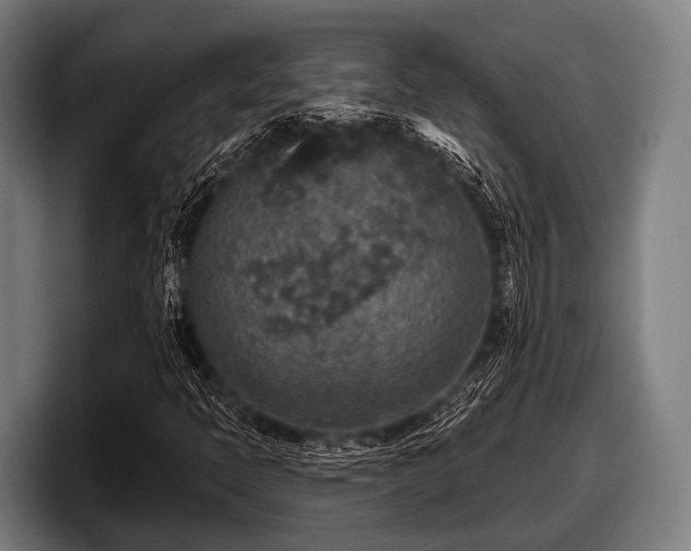 X0000097811397200803201408