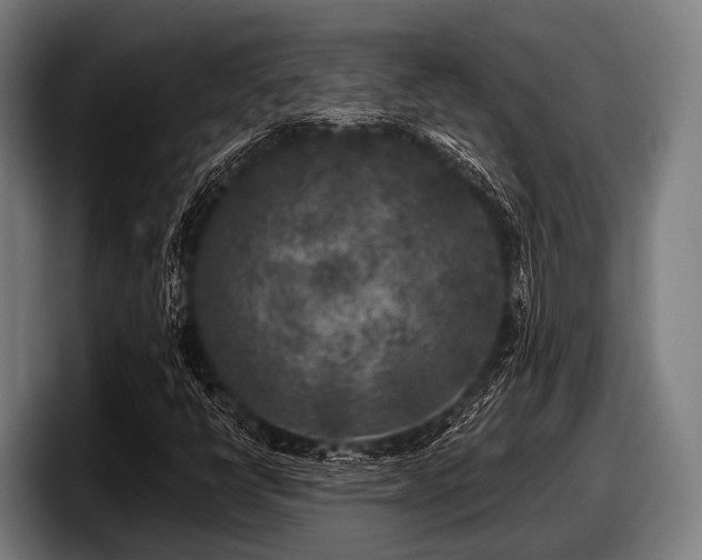 X0000097811398200803201408
