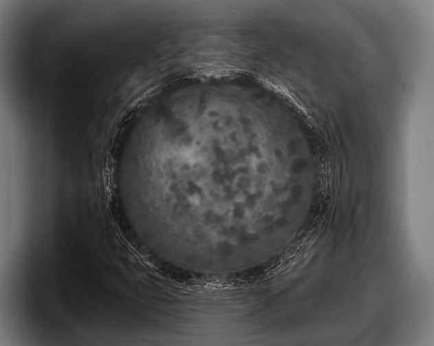 X0000097811399200803201408