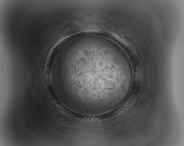 X0000097811400200803201408