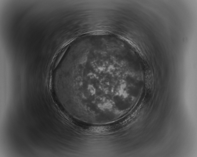 X0000097811402200803201408