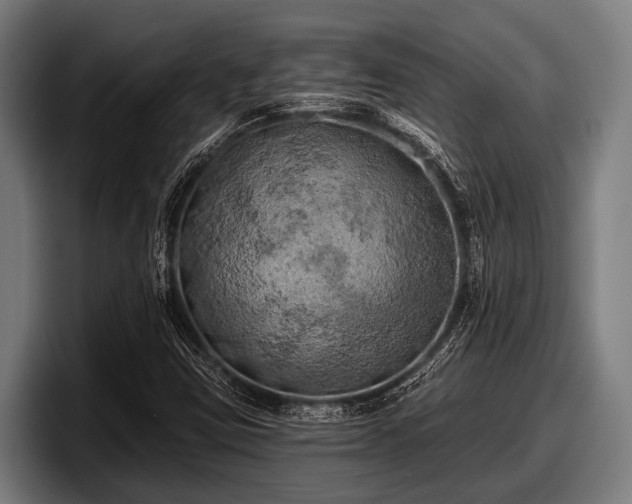 X0000097811403200803201408