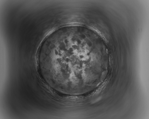 X0000097811405200803201408