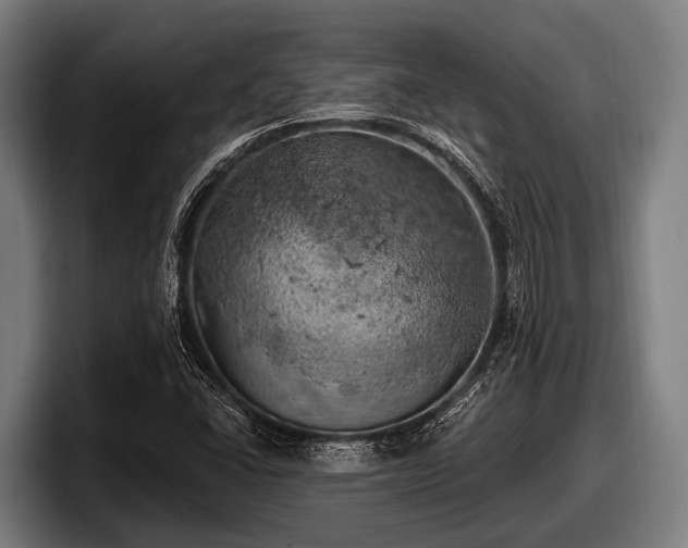 X0000097811406200803201408