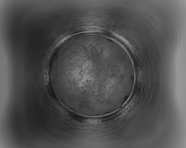 X0000097811407200803201408