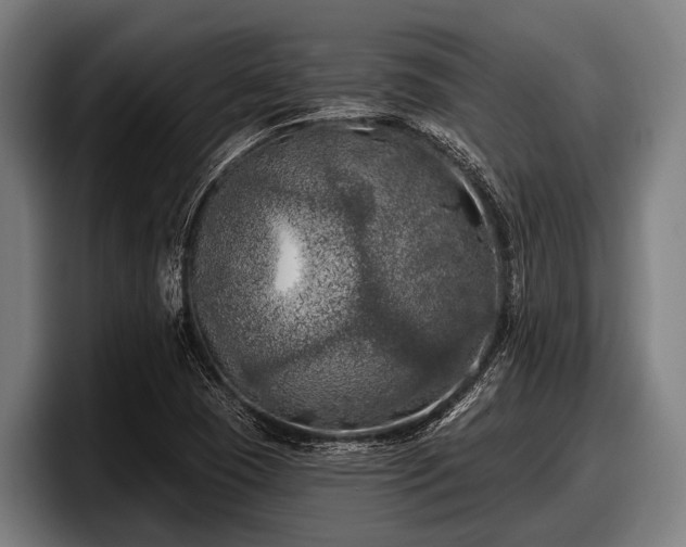 X0000097811409200803201408