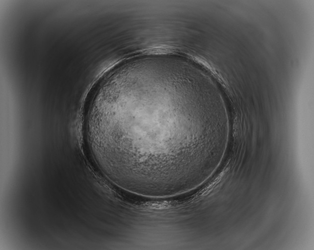X0000097811410200803201408