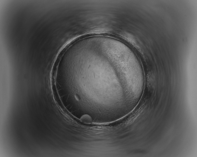 X0000097811412200803201408