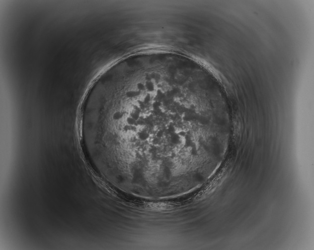 X0000097811413200803201408