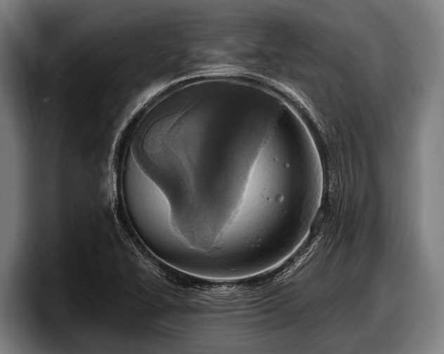 X0000097811414200803201408