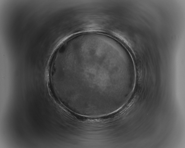 X0000097811415200803201408