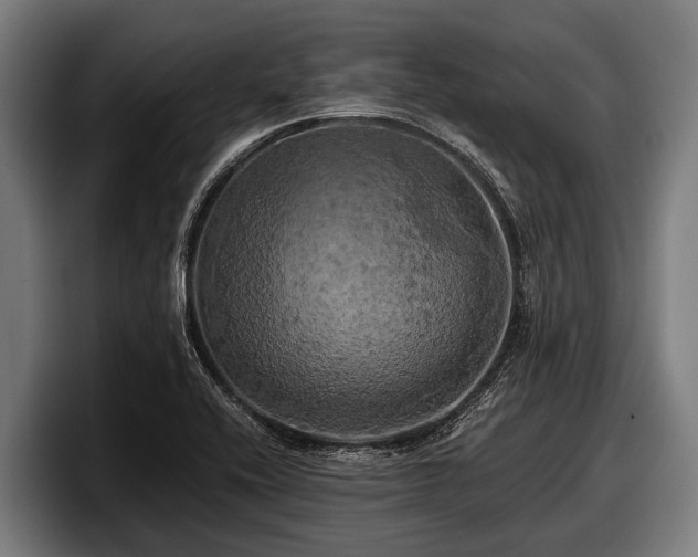 X0000097811416200803201408
