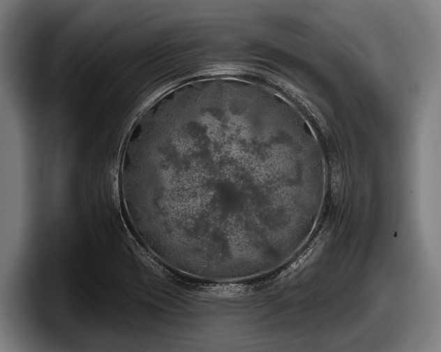 X0000097811417200803201408