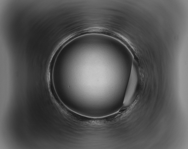 X0000097811418200803201408