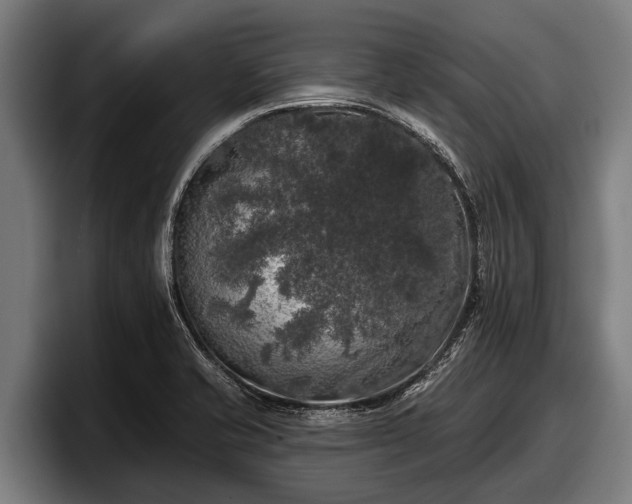 X0000097811421200803201408