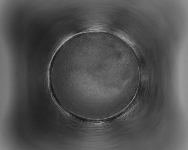 X0000097811423200803201408