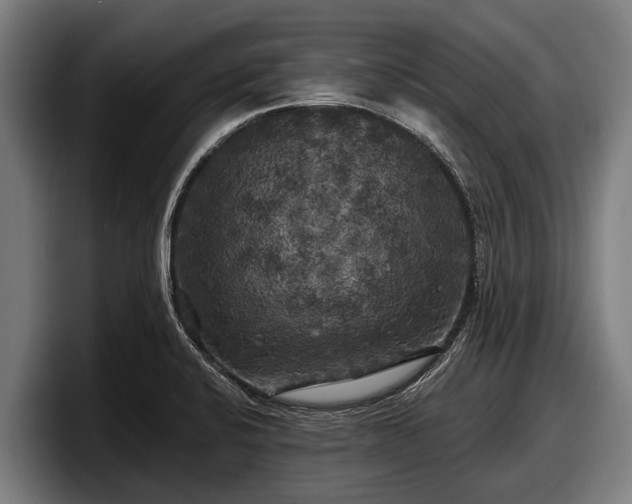 X0000097811424200803201408