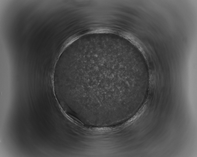 X0000097811425200803201408