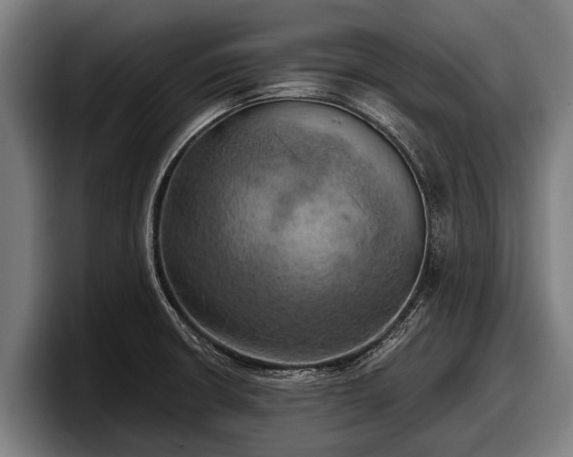 X0000097811426200803201408