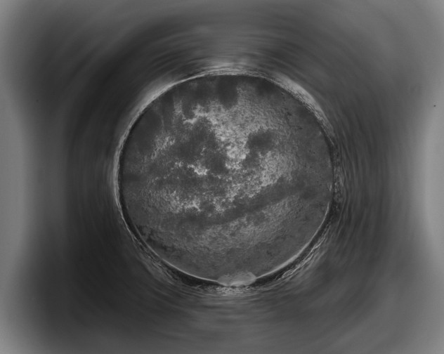 X0000097811427200803201408