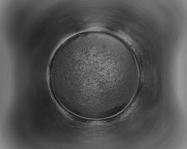 X0000097811430200803201408