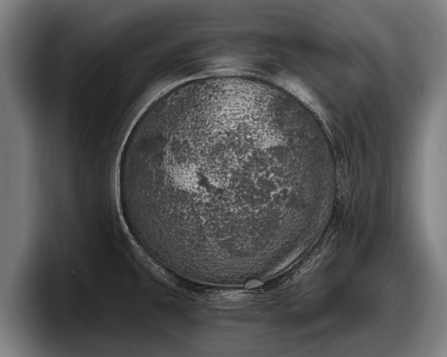 X0000097811431200803201408