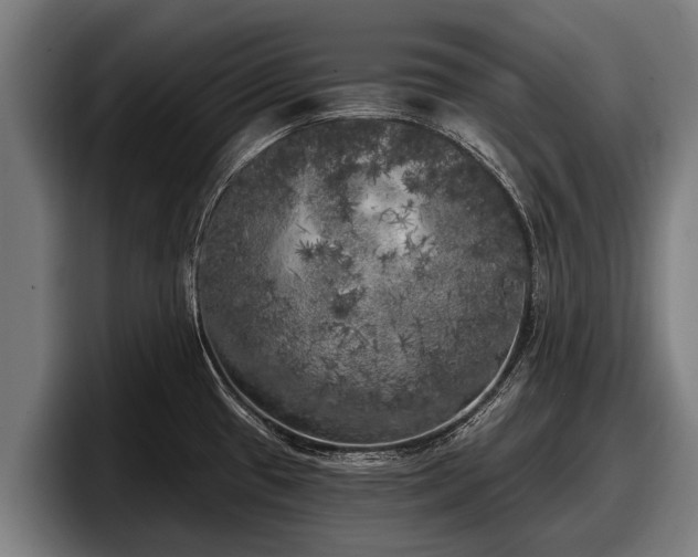 X0000097811433200803201408