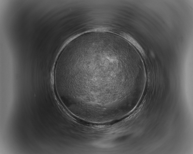 X0000097811436200803201409