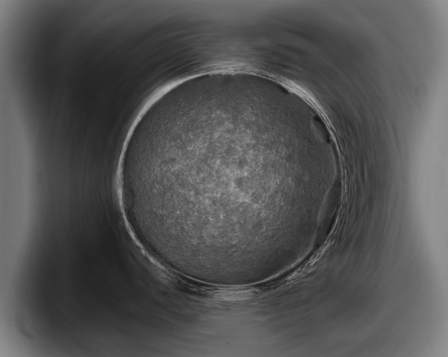 X0000097811440200803201409