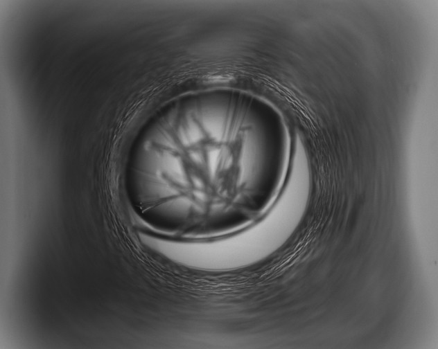 X0000097811441200803201408