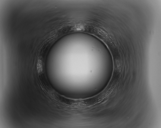 X0000097811442200803201408
