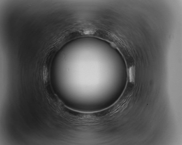 X0000097811443200803201408