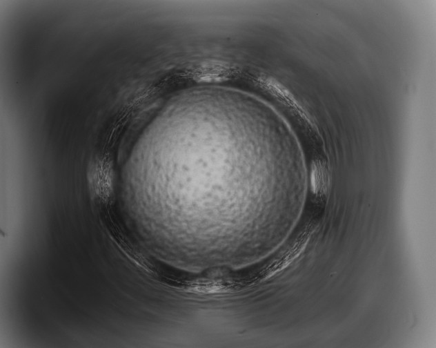 X0000097811444200803201408