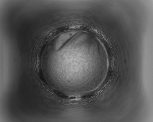 X0000097811445200803201408