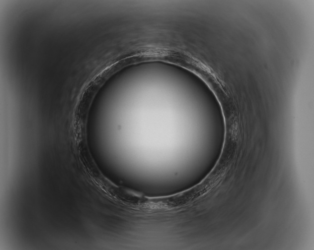 X0000097811448200803201408