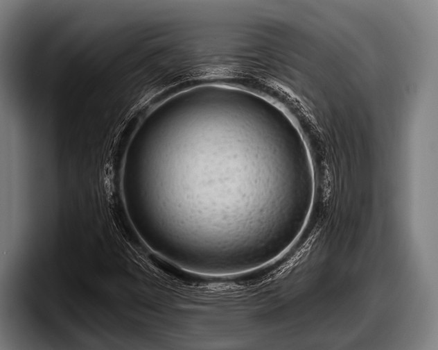 X0000097811449200803201408
