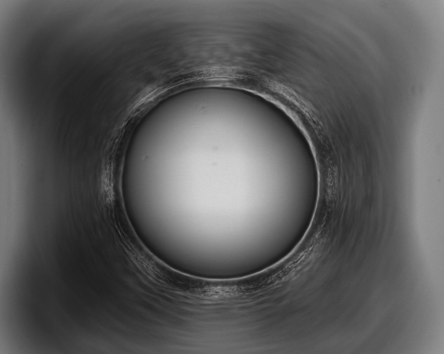 X0000097811451200803201408