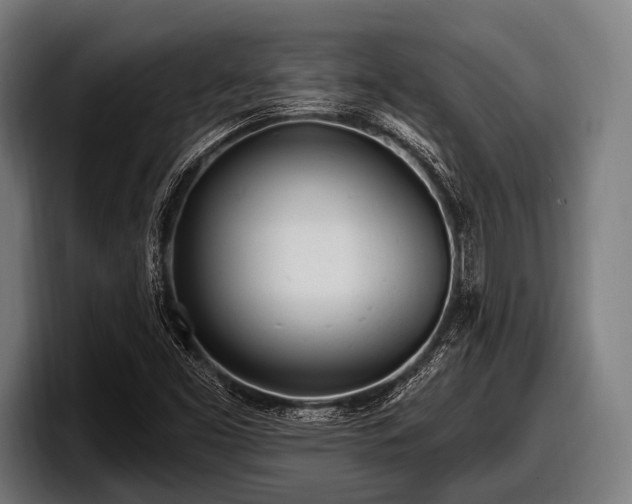 X0000097811453200803201408