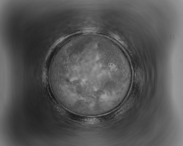 X0000097811454200803201408