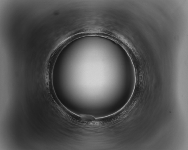X0000097811456200803201408