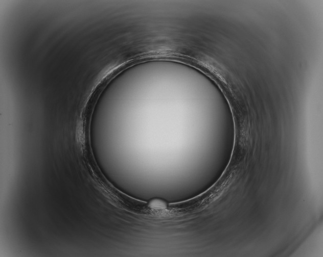 X0000097811458200803201408