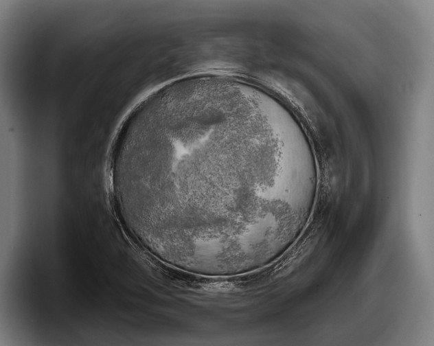 X0000097811462200803201408