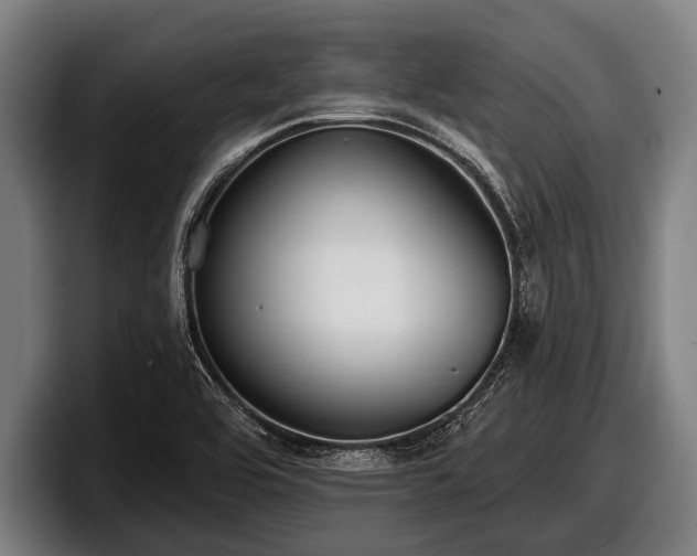 X0000097811464200803201408