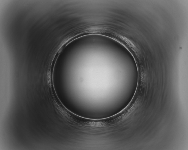 X0000097811465200803201408